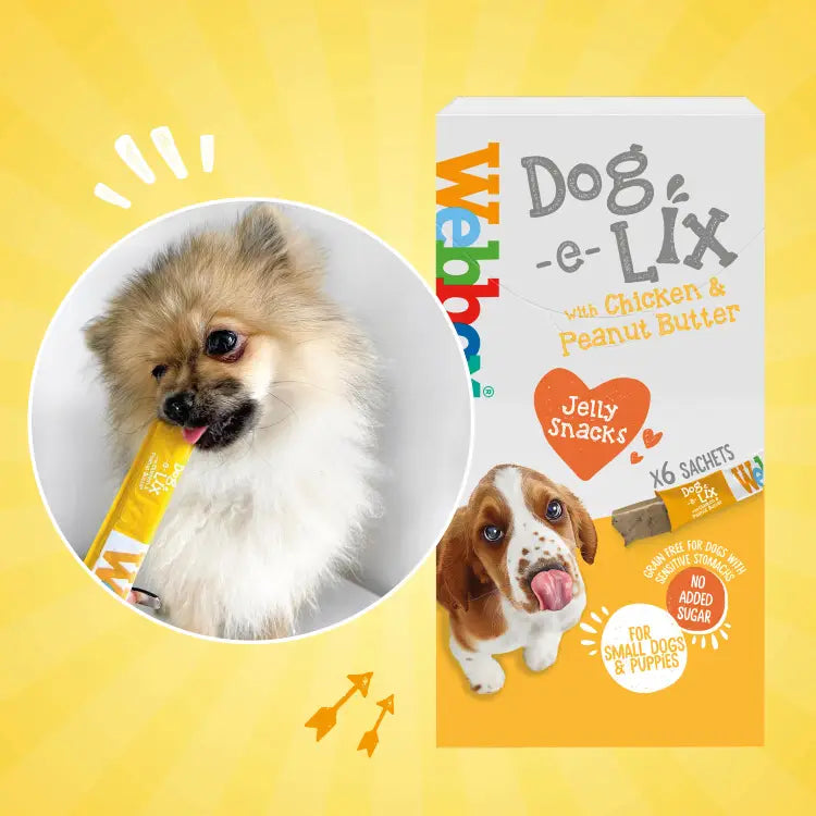 Webbox Dog e Lix with Chicken & Peanut Butter Creamy Dog Treats 11x90g