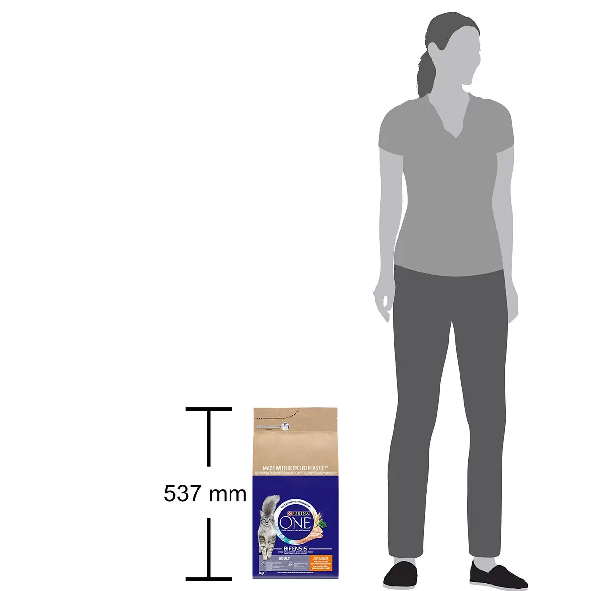 Purina ONE Adult Dry Cat Food Chicken, 6kg