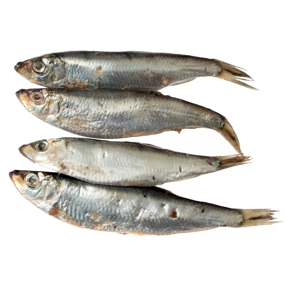 Wilsons Premium Baltic Sprats for Dogs, 1kg