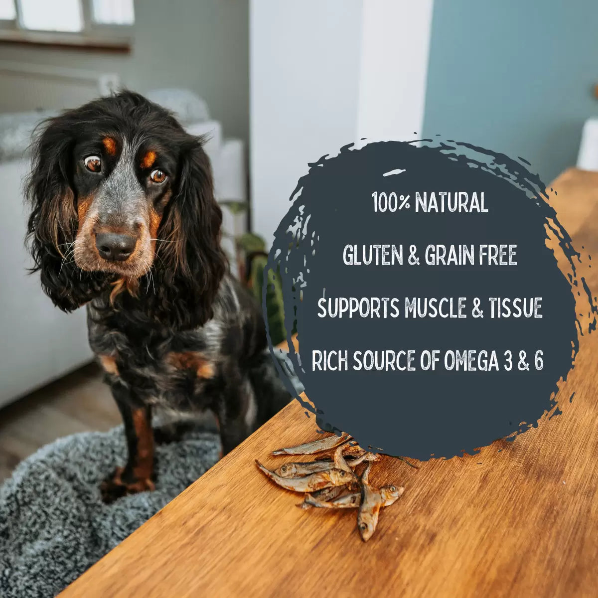 Wilsons Premium Baltic Sprats for Dogs, 1kg