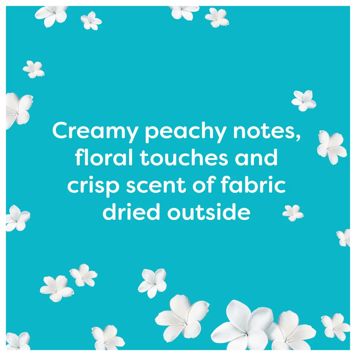 Fairy fabric softener in 3 Size.