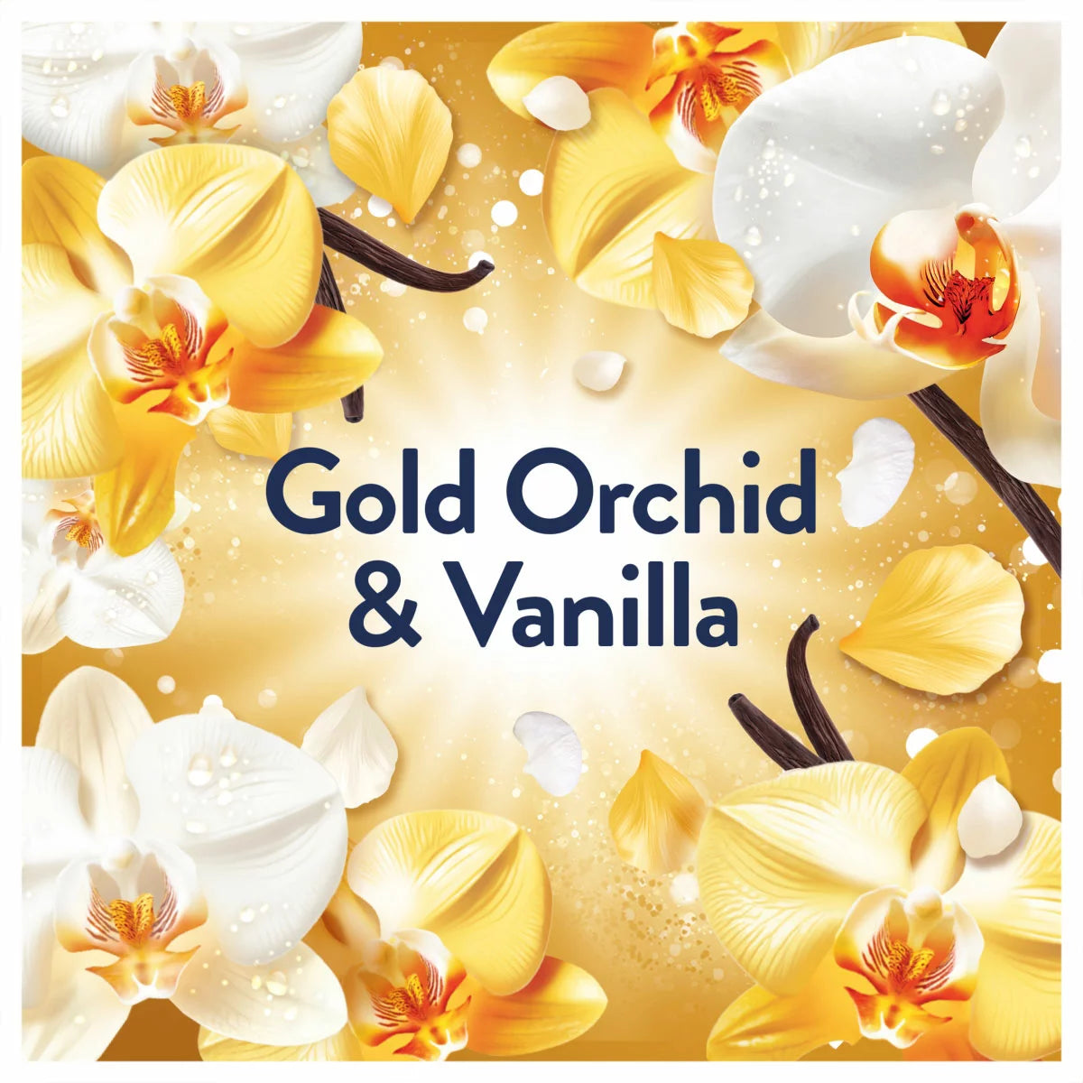 Lenor Concentrate Gold Orchid Fabric Conditioner, 200 Wash, 4L