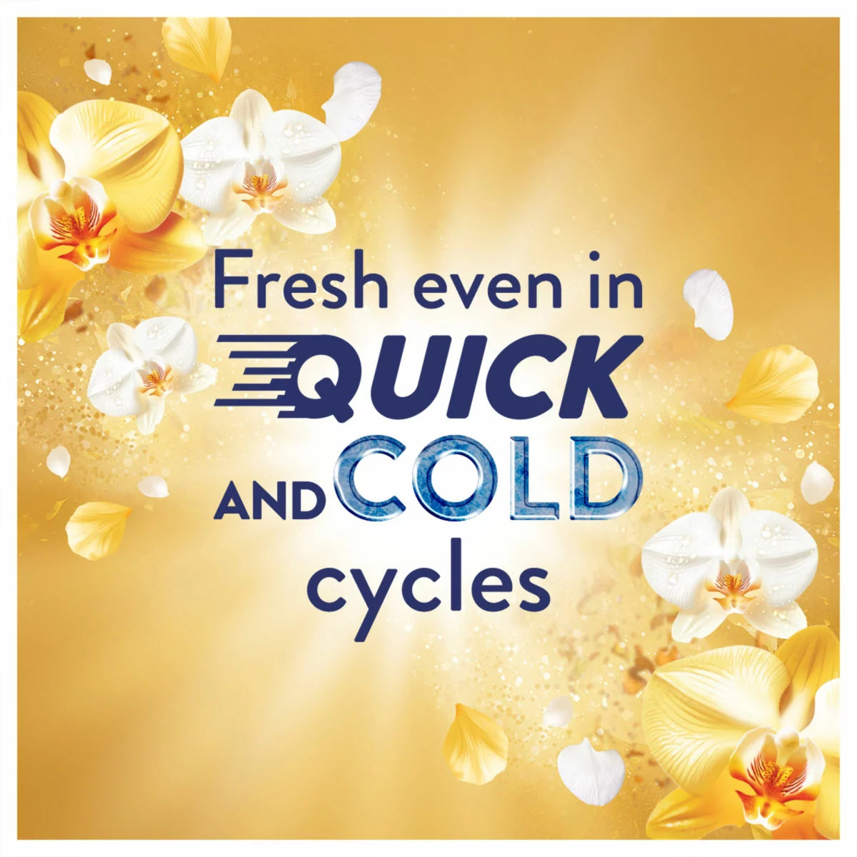 Lenor Concentrate Gold Orchid Fabric Conditioner, 200 Wash, 4L
