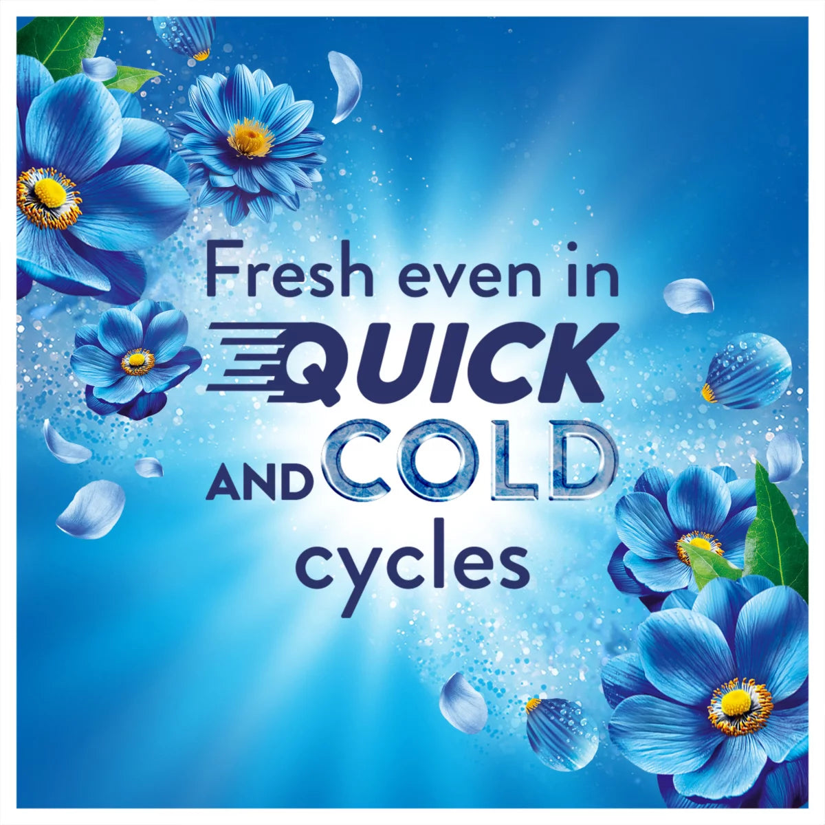 Lenor Concentrate Coastal Flower Fabric Conditioner, 200 Wash, 4L