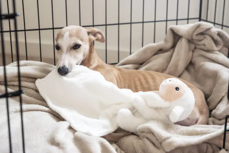 Webbox Cage Ball, Plush Unicorn, Ropw & Ball Goat, Puppy soothing Blanket Lamb, Cuddle Higland Cow, Dog Toy