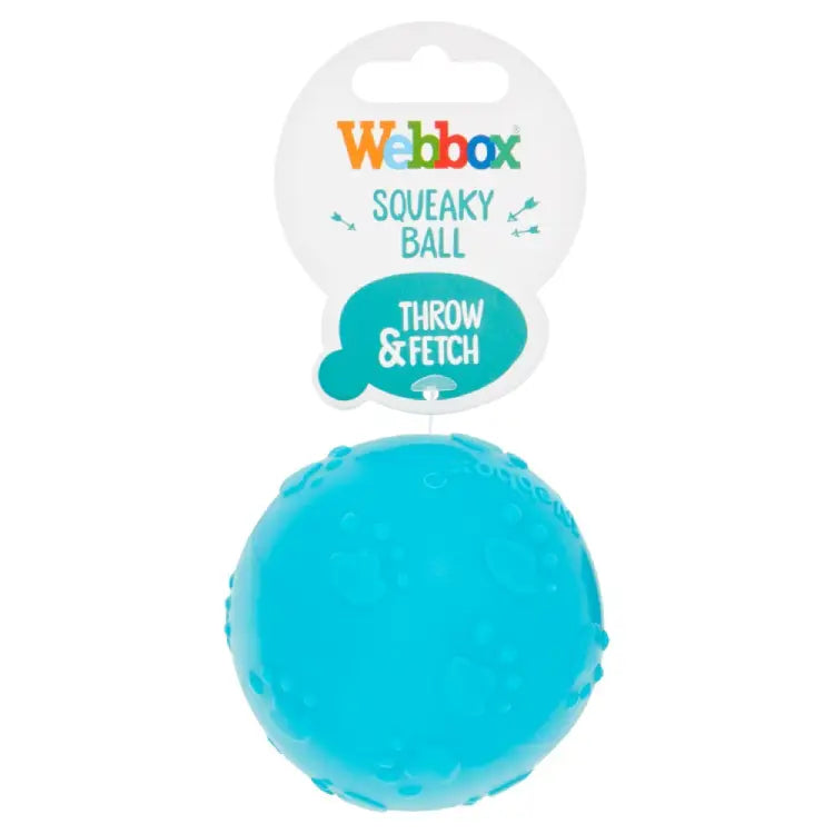 Webbox Squeaky Ball Dog Toy