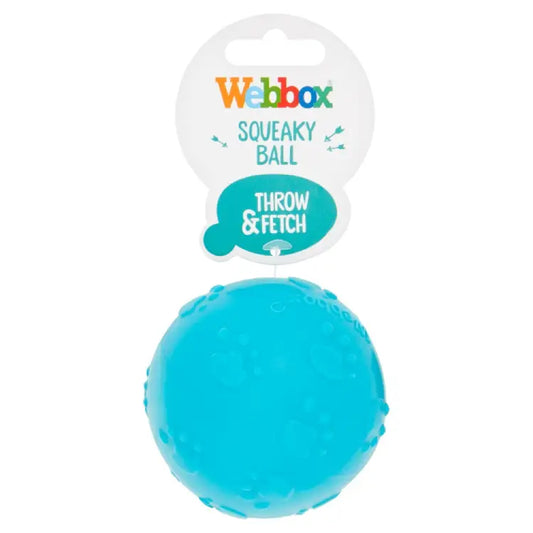 Webbox Squeaky Ball Dog Toy