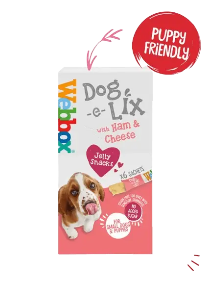 Webbox Dog e Lix with Ham & Cheese Creamy Dog Treats 11x90g